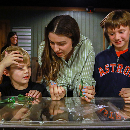 Museum Self-guided Ticket